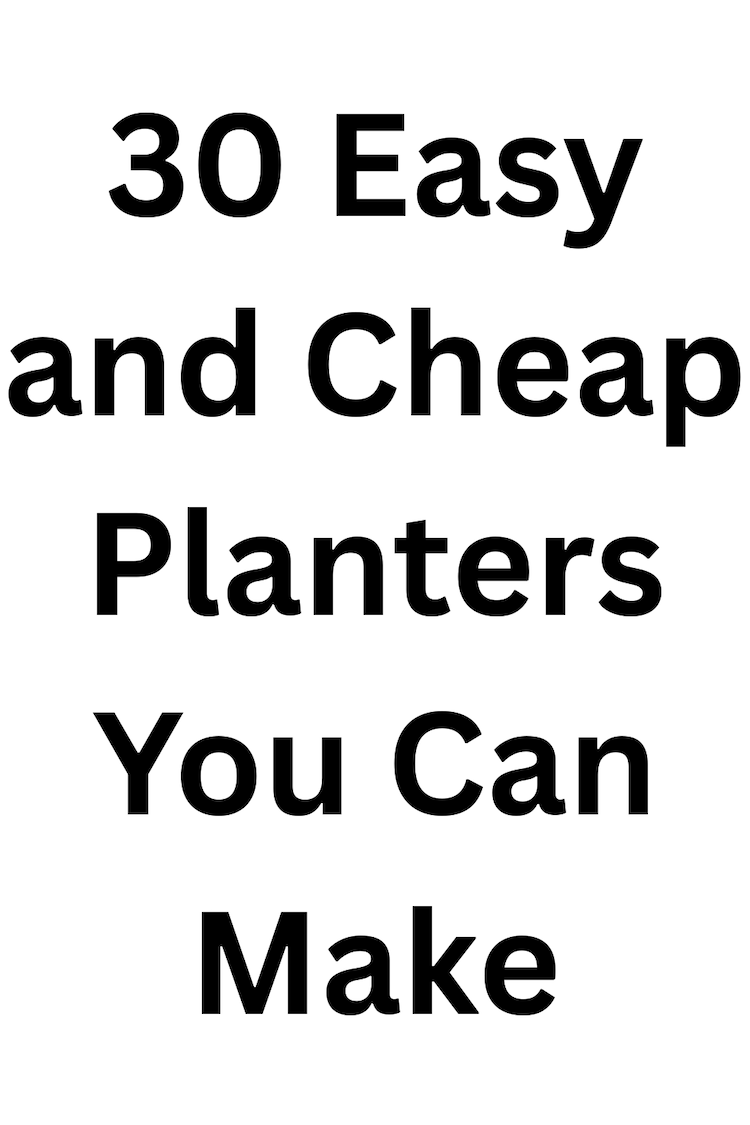 PLANTERSe.png