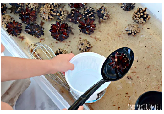 Pinecone-Sensory-Bin--andnextcomesl.com.png