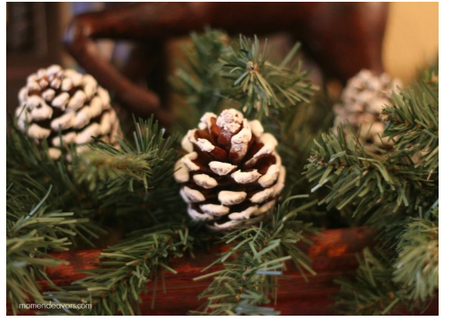 Snow-Covered-Pinecones--momendeavors.com.png