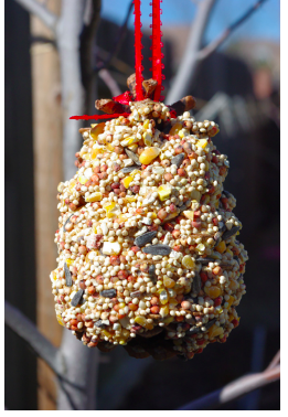 cc--Pinecone-Birdfeeders--happinessishomemade.com.png