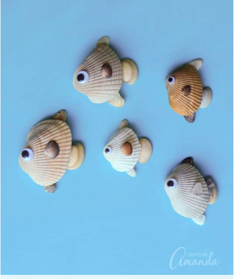 cc--seashell-fish--craftsbyamanda.com.png
