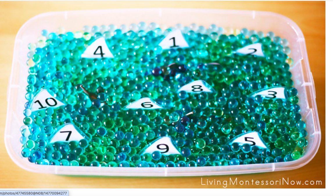 cc--shark-sensory-bin--livingmontessorinow.com.png