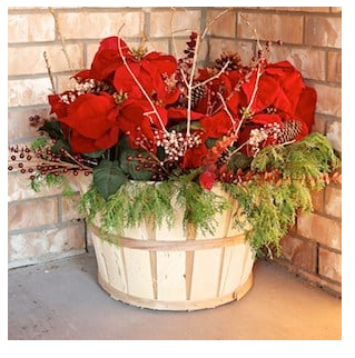 diy--ch--fall-to-winter--sourceunknown.png diy--ch--fall-to-winter--sourceunknown.png