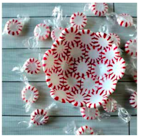 diy--ch--peppermint-bowls--princess[pinkygirl.com.png diy--ch--peppermint-bowls--princess[pinkygirl.com.png