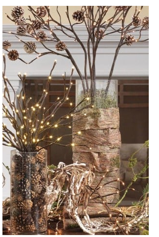 diy--ch--rustic-pinecones-branch---sourceunknown.png diy--ch--rustic-pinecones-branch---sourceunknown.png