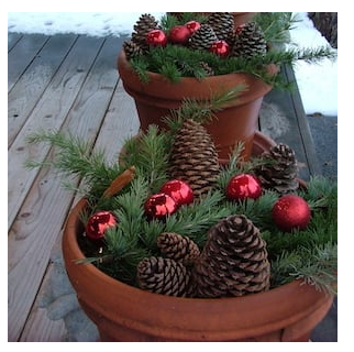 diy--ch--terra-cotta-planter--plughyourownfurrow.com.png diy--ch--terra-cotta-planter--plughyourownfurrow.com.png