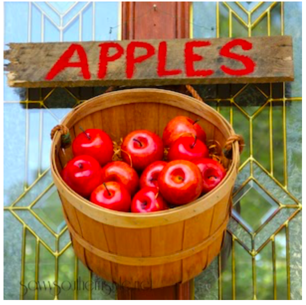 diy--f--apple-basket-door-hanger--savvysouthernstule.com.png diy--f--apple-basket-door-hanger--savvysouthernstule.com.png