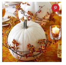 diy--f--bittersweet-pumpins--yourcozyhome.com.png