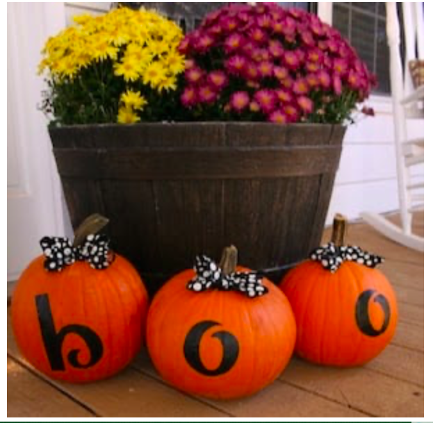 diy--f--boo-pumpkins-mums--dandelionsanddragonflies.com.png