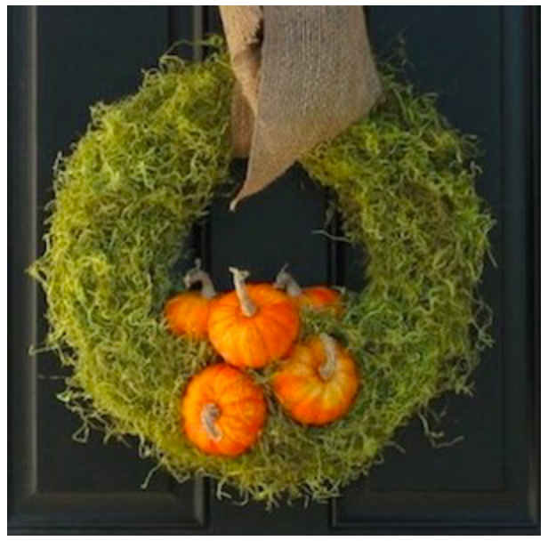 diy--f--moss-mini-pumpkin-wreath--sourceunknown.png diy--f--moss-mini-pumpkin-wreath--sourceunknown.png