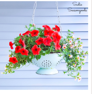 diy--sp--colander-planter--sadieseasongoods.com.png