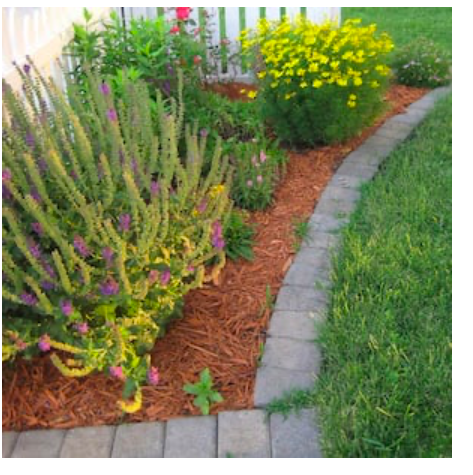 diy--sp--front-garden--happyathome.com.png diy--sp--front-garden--happyathome.com.png