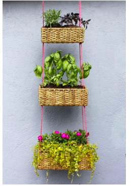 diy--sp--hanging-garden-abeautifulmess.com.png