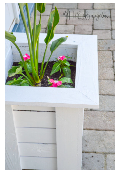 diy--sp--modern-planter--h2obunngalow.com.png diy--sp--modern-planter--h2obunngalow.com.png