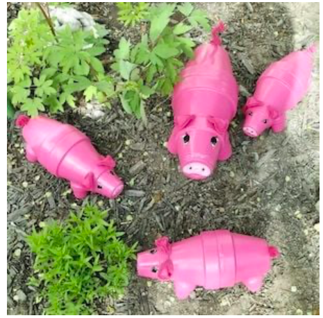diy--sp--pig-terra-cotta-pots--sourceunknown.png