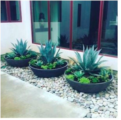 diy--sp--potted-plants--sourceunknown.png diy--sp--potted-plants--sourceunknown.png