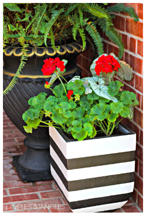 diy--sp--striped-planta--dimplesandtangles.com.png diy--sp--striped-planta--dimplesandtangles.com.png