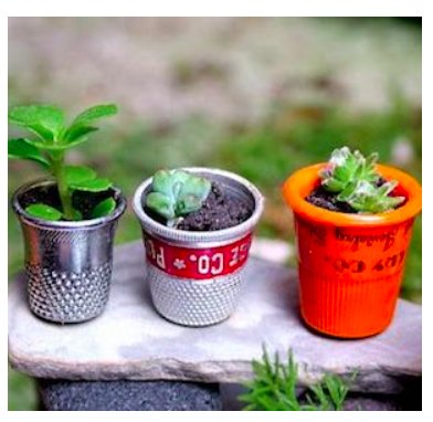 diy--sprin--succulant-gardens---thinkcrafts.com.png