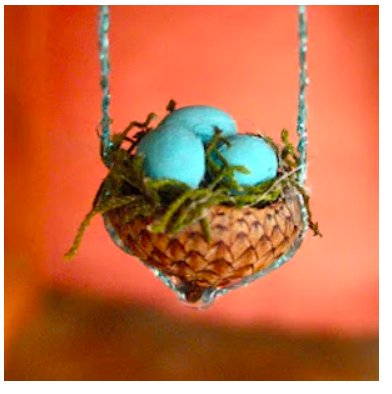 diy--spring--acorn-birds-nest--twigandtoadstool.com.png