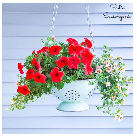 diy--spring--colander-planter--sadieseasongoods.cm.png