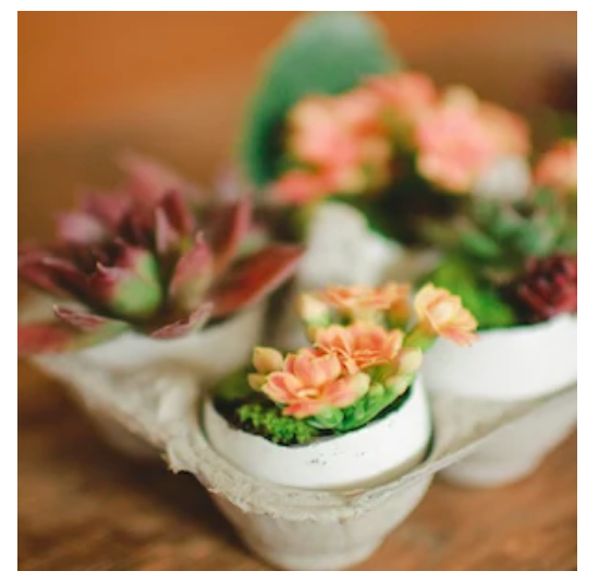diy--spring--eggshell-planters--lerobinsnest.com.png