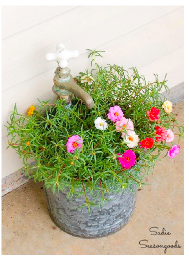 diy--spring--faucet-planter--sadieseasongoods.com.png