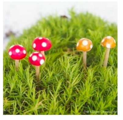 diy--spring--mini-toadstools--themagiconions.com.png