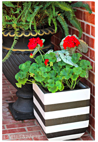 diy--spring--striped-planter--dimplesandtangles.com.png