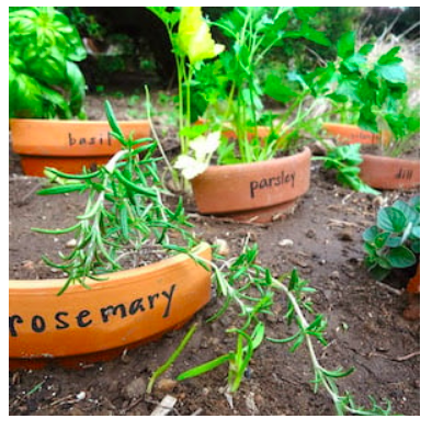 diy--spring--terra-cotta-pot-markers--hardlyhousewives.com.png