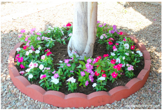 diy--spring--tree-ring-flower-bed--momendeavors.com.png