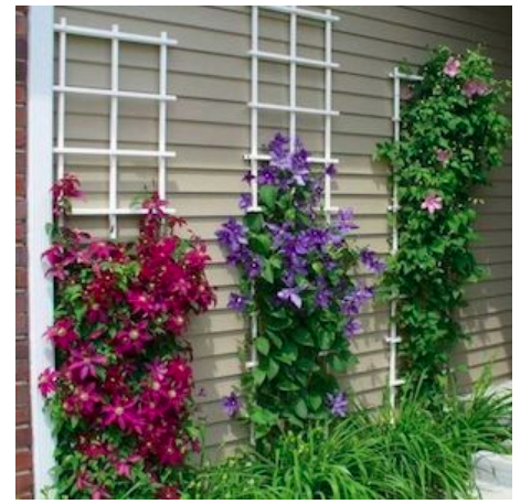diy--spring--trellis-garden--sourceunknown.png