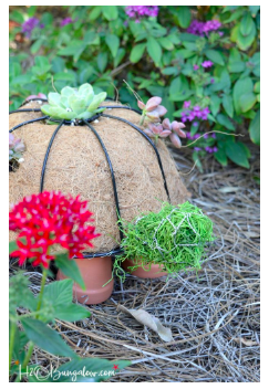 diy--spring--turtle-topiary--h20bungalow.com.png